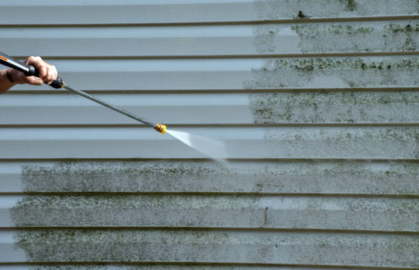 Best Affordable Power Washing  in Amelia Court House, VA