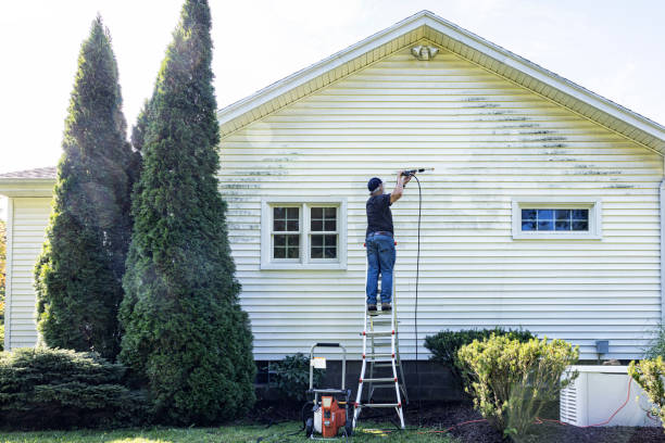 Best House Pressure Washing  in Amelia Court House, VA