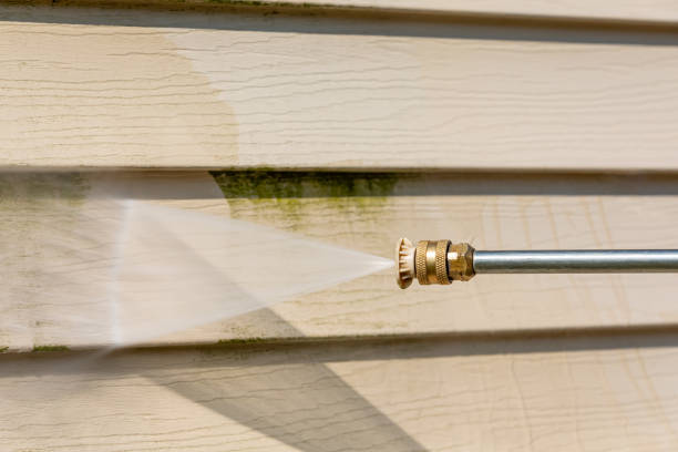 Professional Pressure Washing in Amelia Court House, VA