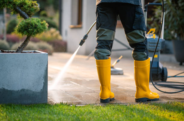 Best Pressure Washing Company Near Me  in Amelia Court House, VA